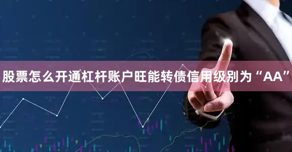 股票怎么开通杠杆账户旺能转债信用级别为“AA”