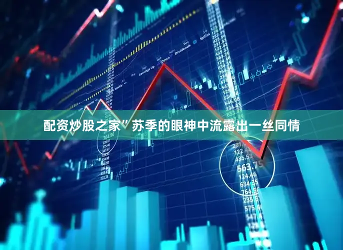 配资炒股之家”苏季的眼神中流露出一丝同情