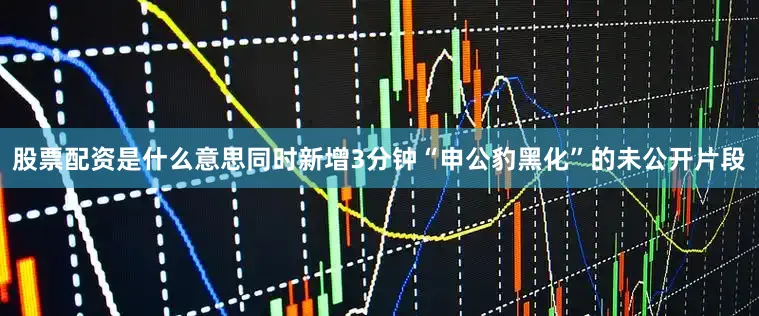 股票配资是什么意思同时新增3分钟“申公豹黑化”的未公开片段